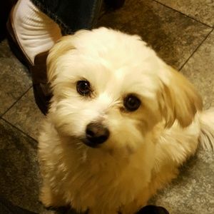 Meet your Posher, Kay