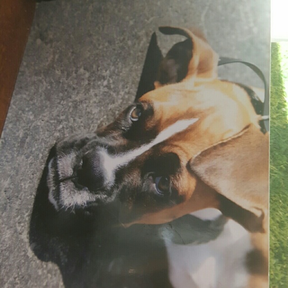 Meet your Posher, Heidi - Picture 1 of 1