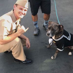 Meet your Posher, Thomas