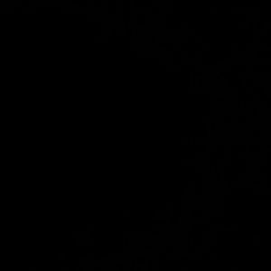 Meet your Posher, Ann