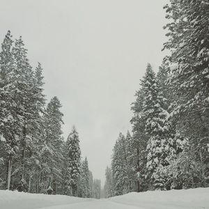 Meet your Posher, Khue