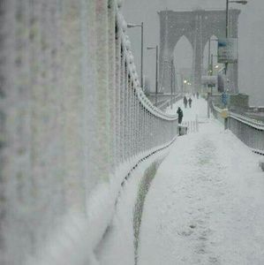 Meet your Posher, Keira