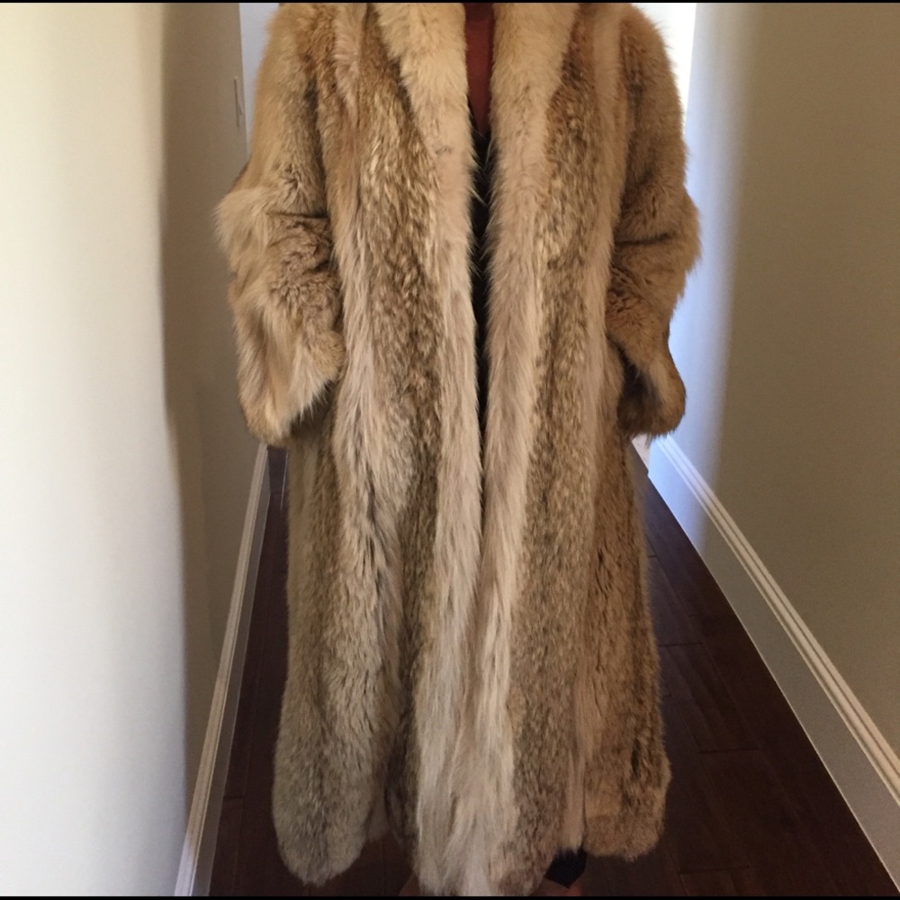 Wild Coyote Coat female