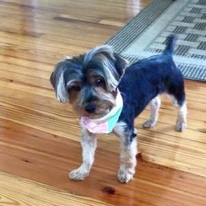 Meet your Posher, Crystal