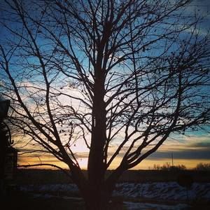 Meet your Posher, Jocee