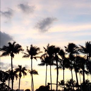 Meet your Posher, Allyson