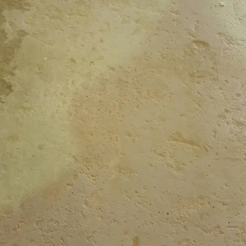 Meet your Posher, Silvia