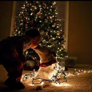 Meet your Posher, Callie