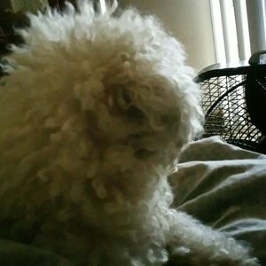 Meet your Posher, Tanya