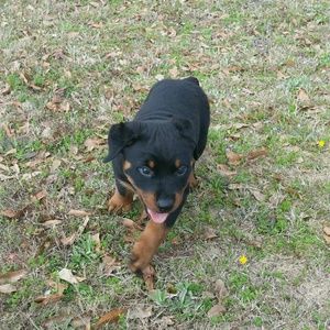 Meet your Posher, Lori