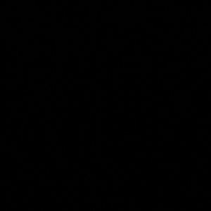 Meet your Posher, Cheveiz