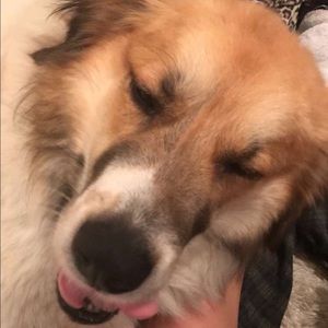 Meet your Posher, Zach