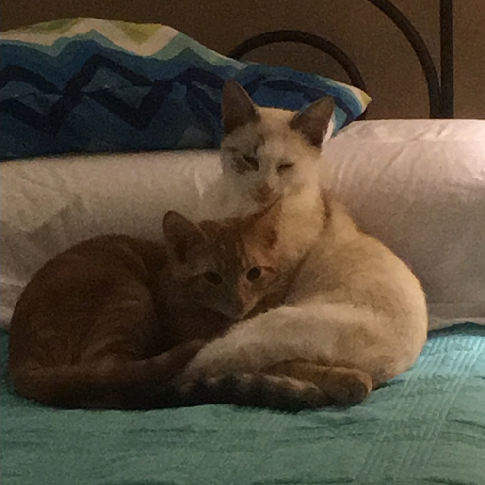 Meet your Posher, Tammy