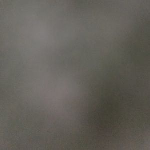 Meet your Posher, Sierra