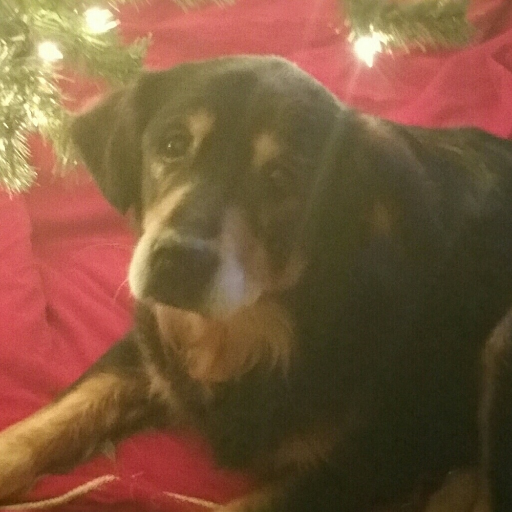 Meet your Posher, Terrie