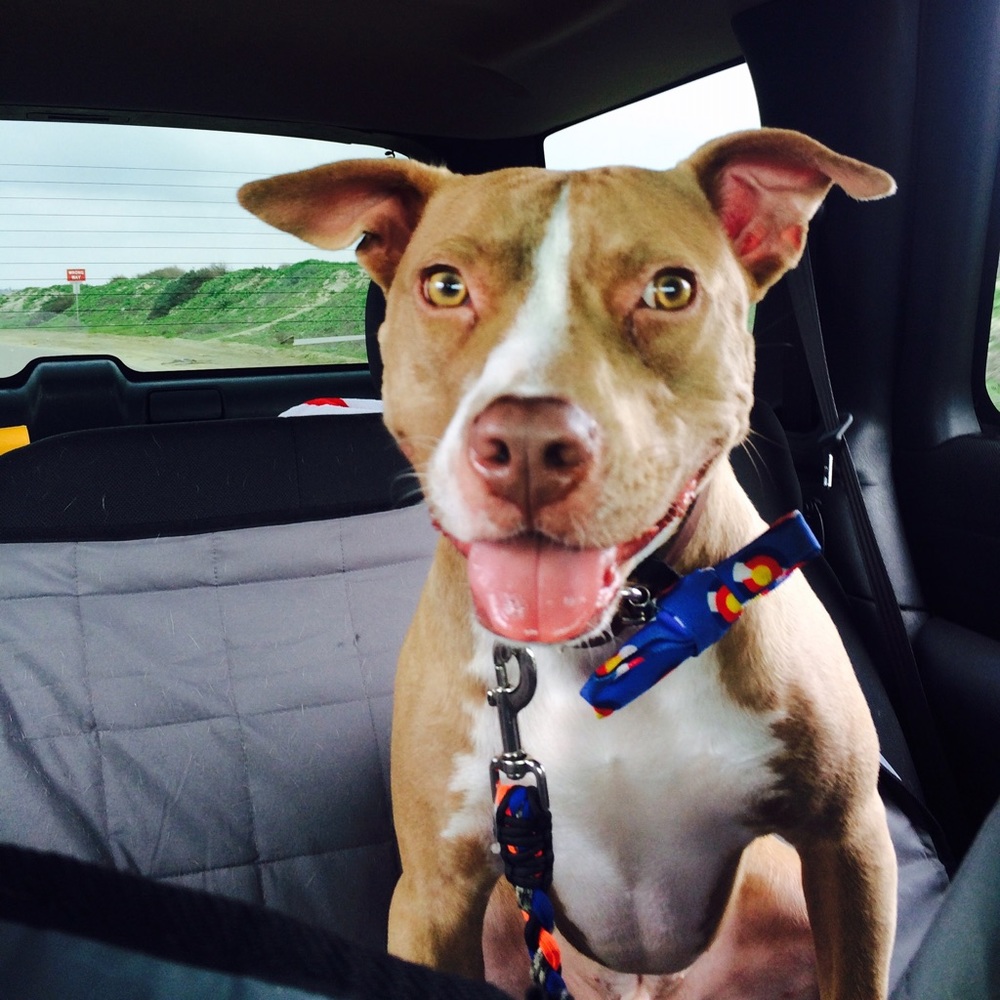 Meet your Posher, Jerica