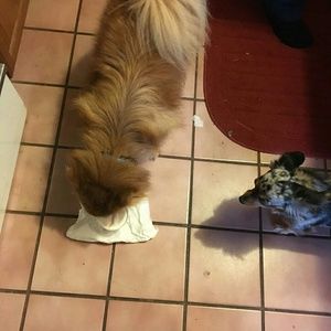 Meet your Posher, Jenna