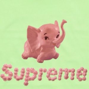 Meet your Posher, Joey