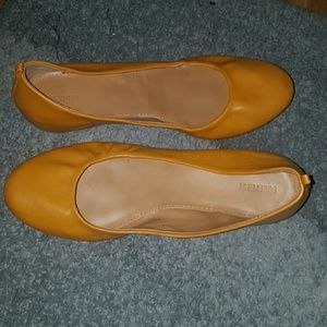 Yellow Flats