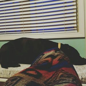 Meet your Posher, Cait