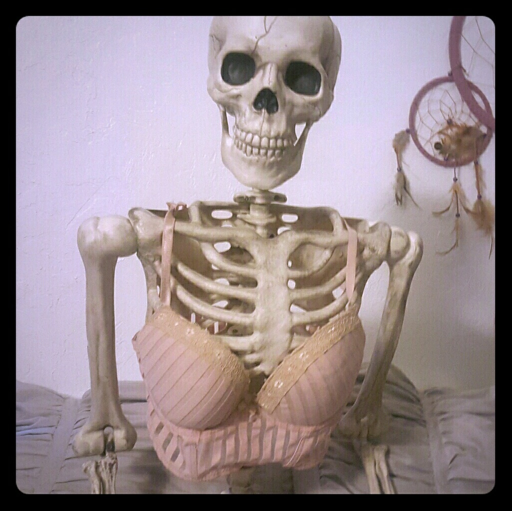 Balconnet Corset Bra