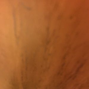 Meet your Posher, Dave