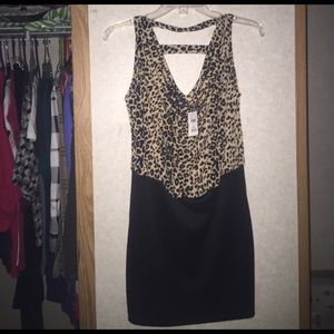 Body Central Dress. Brand New Never Worn