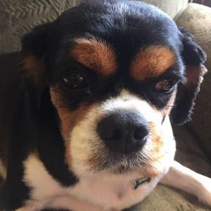 Meet your Posher, Ava