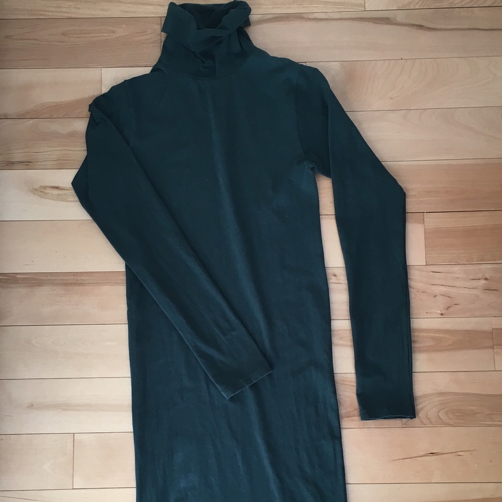 American Apparel Turtleneck Dress