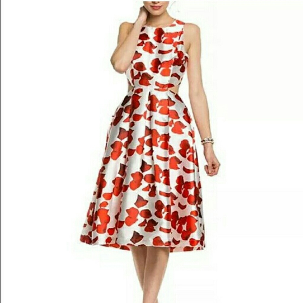 Floral cutout A-Line dress!- NWT Size S