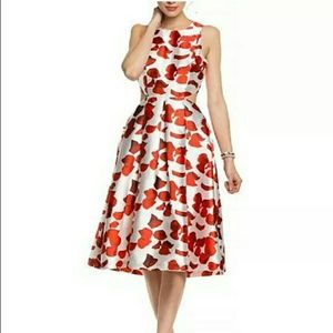 Floral cutout A-Line dress!- NWT Size S
