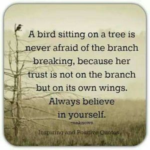 Meet your Posher, Jan