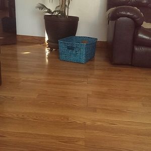 Meet your Posher, Noemi