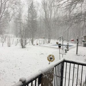 Meet your Posher, Carol