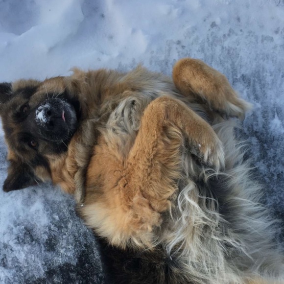 Meet your Posher, Emily - Picture 1 of 1