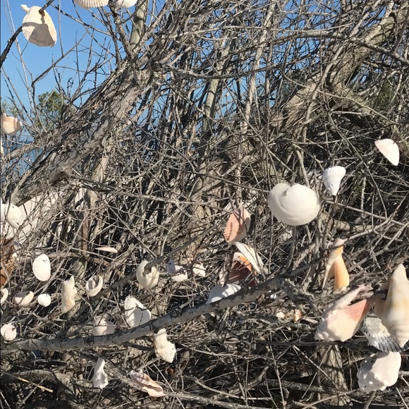 Meet your Posher, Janet - Picture 1 of 1