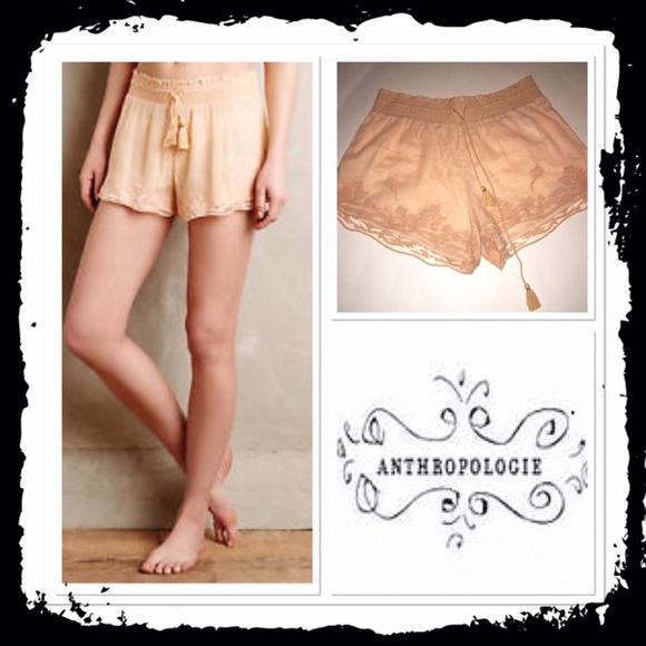 Anthropologie Pants - NWOT Anthropologie sheer peach shorts
