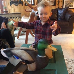 Meet your Posher, Janlaine