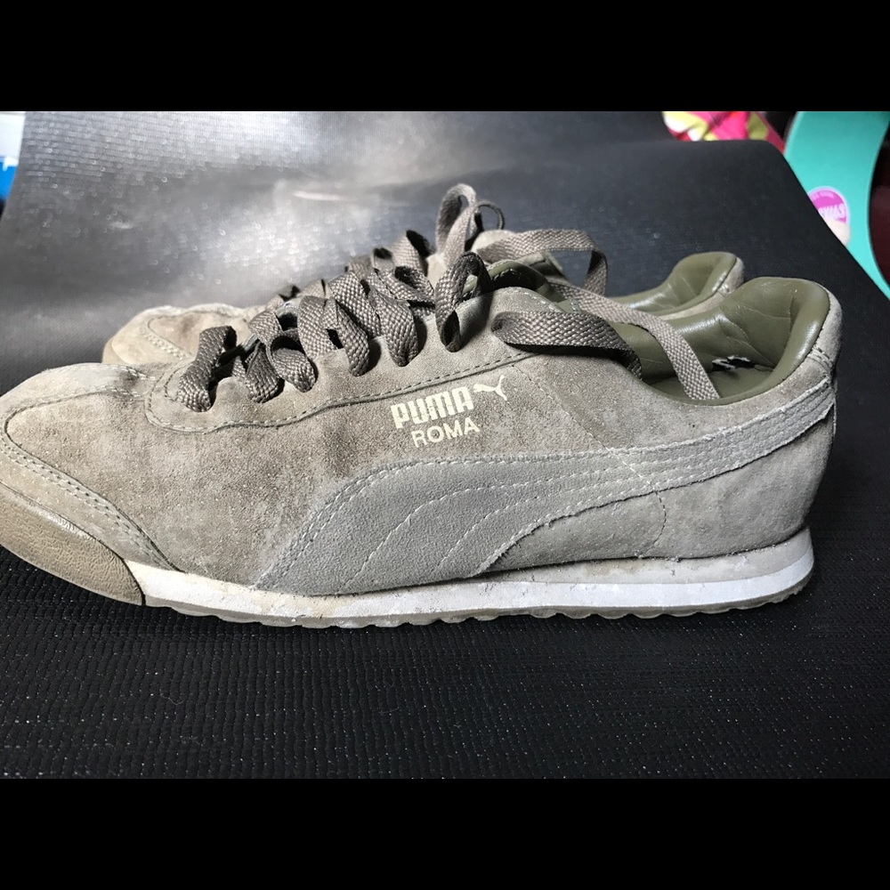 Puma Romas