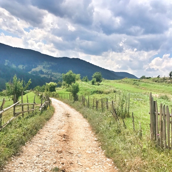 Meet your Posher, Lisa - Picture 2 of 4