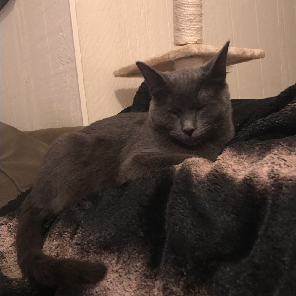 Meet your Posher, Gianna