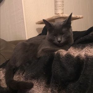 Meet your Posher, Gianna