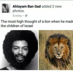 Meet your Posher, Meashele