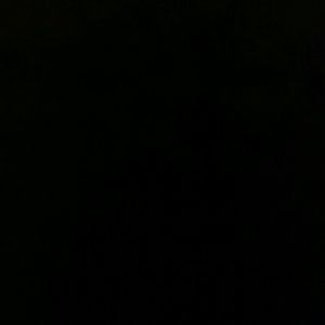 Meet your Posher, Louvenia