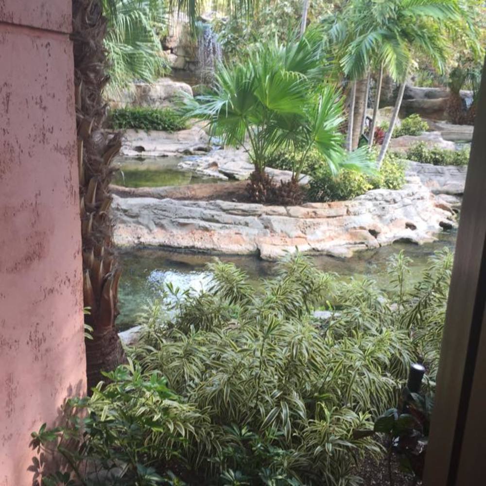 Meet your Posher, Shea