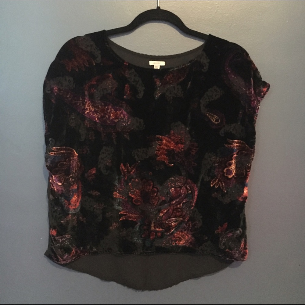 Ecote Velvet Burnout Sheer Short Top