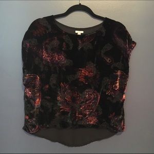 Ecote Velvet Burnout Sheer Short Top