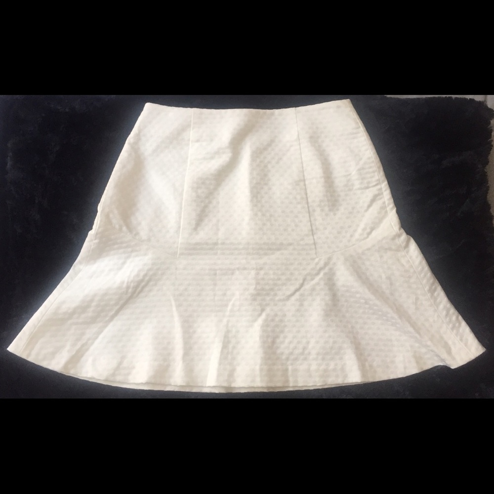 Ann Taylor skirt