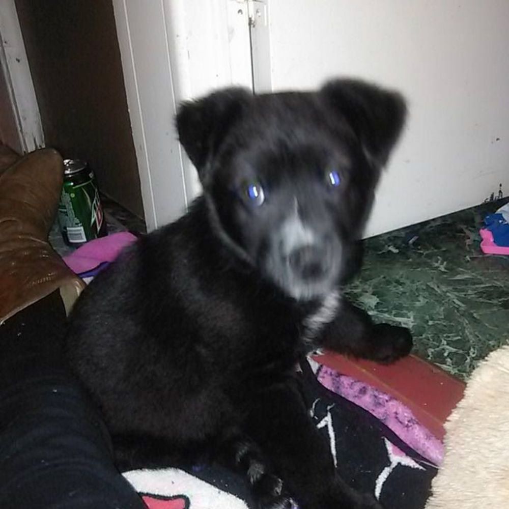 Meet your Posher, Christine