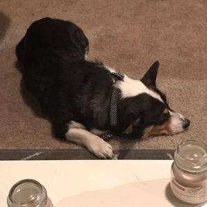 Meet your Posher, Matilda